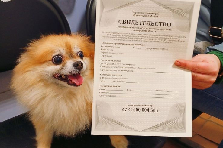 В Ленобласти продолжается обязательная регистрация собак.