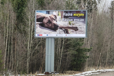 «Наша жизнь в ваших руках». Социальная реклама появилась на региональных трассах