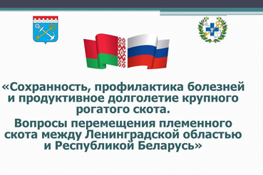 Презентационный материал с семинара «Сохранность, профилактика болезней и продуктивное долголетие крупного рогатого скота. Вопросы перемещения племенного скота между Ленинградской областью и Республикой Беларусь»