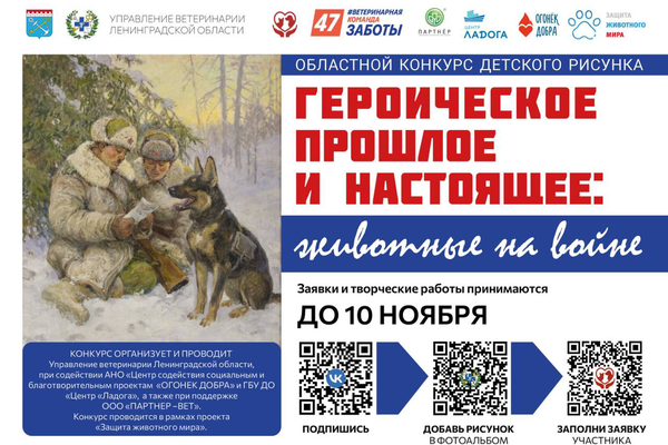 Запускаем конкурс рисунка «Героическое прошлое и настоящее: животные на войне»