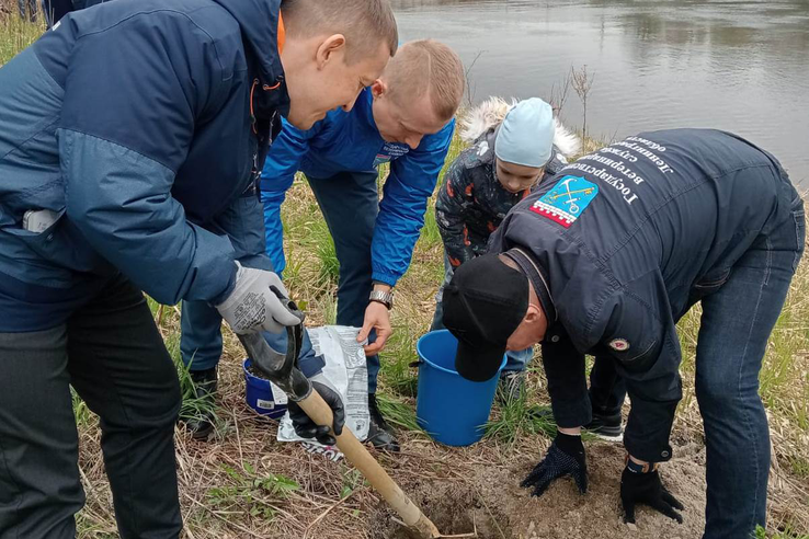 Экологическая акция «Ради жизни на Земле» состоялась во Всеволожском районе