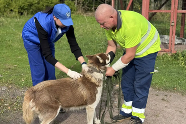 28 сентября - Всемирный день борьбы с бешенством!