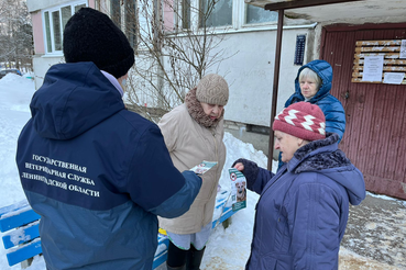 Работу по обращению граждан о бродячих собаках провели в Кировском районе