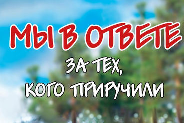 Голосами детей: флешмоб «Мы в ответе...»