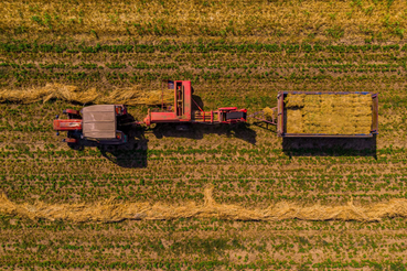 Леонид Кротов рассказал о качестве кормов, заготавливаемых в Ленинградской области