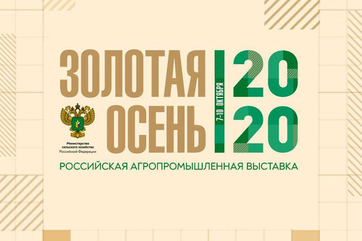 Заслуженные награды всероссийской выставки «Золотая осень - 2020»