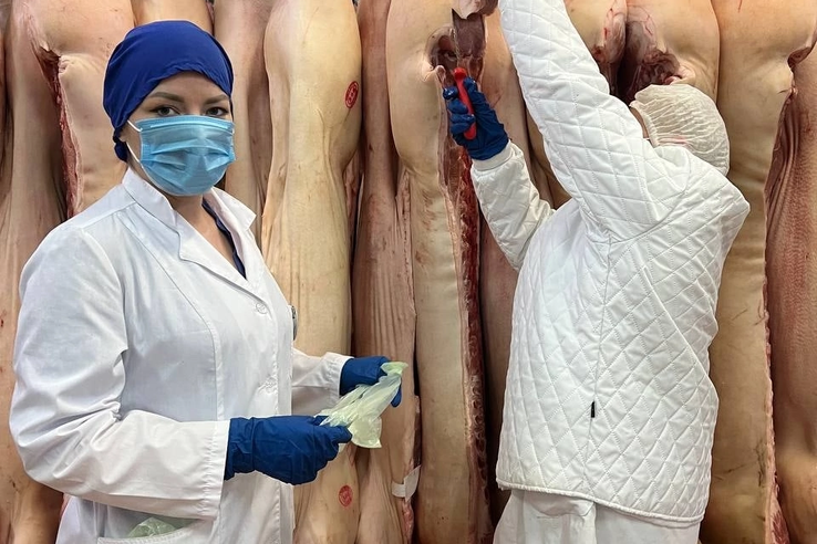 Важность ветеринарно-санитарной экспертизы мяса