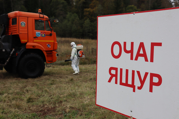 Условный очаг особо опасной болезни ликвидировали в Выборгском районе